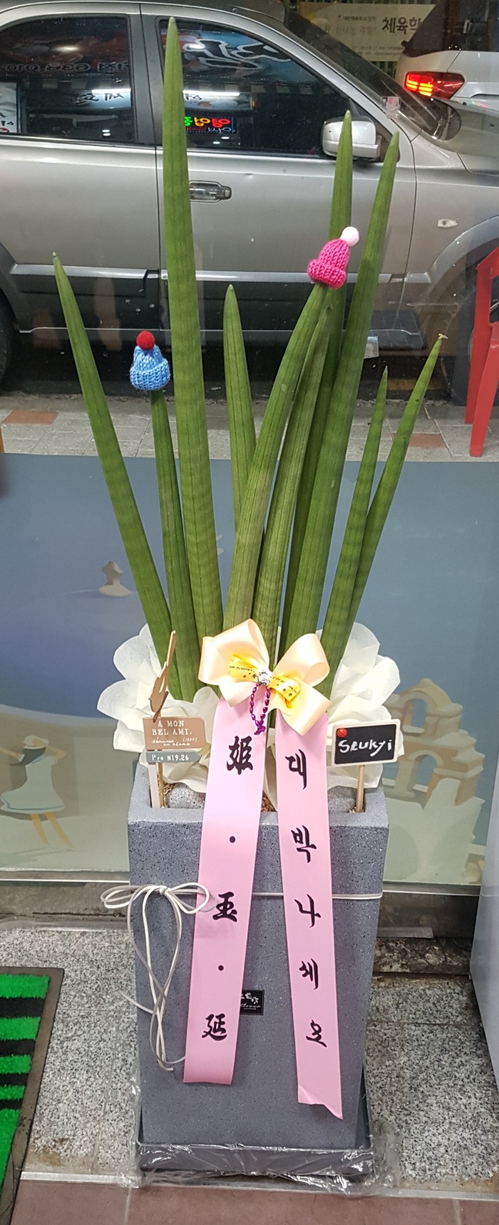  뱸ɹ Դϴ 