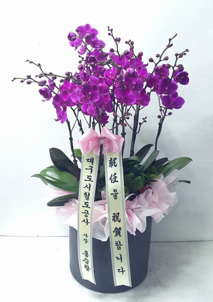 뱸ö 뱸ɹ Դϴ 