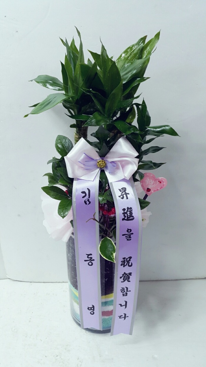 袽 뱸ɹ Դϴ