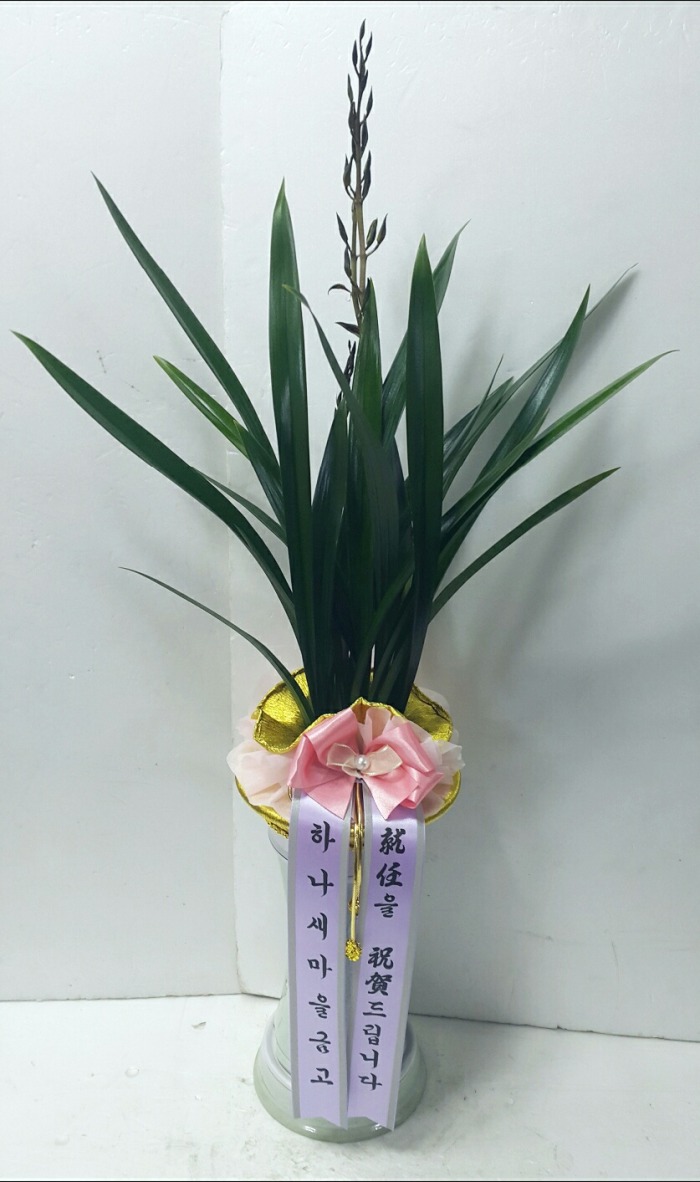 ϳݰ 뱸ɹ Դϴ 