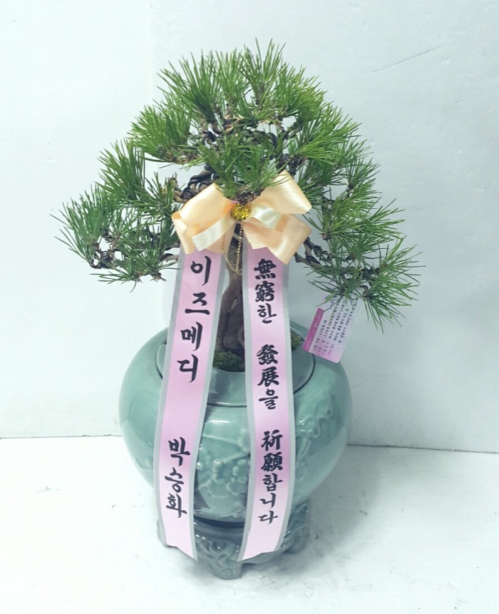 ޵ 뱸ɹ Դϴ 