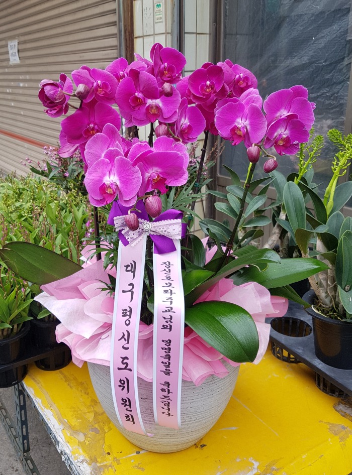 뱸ŵȸ 뱸ɹ Դϴ 