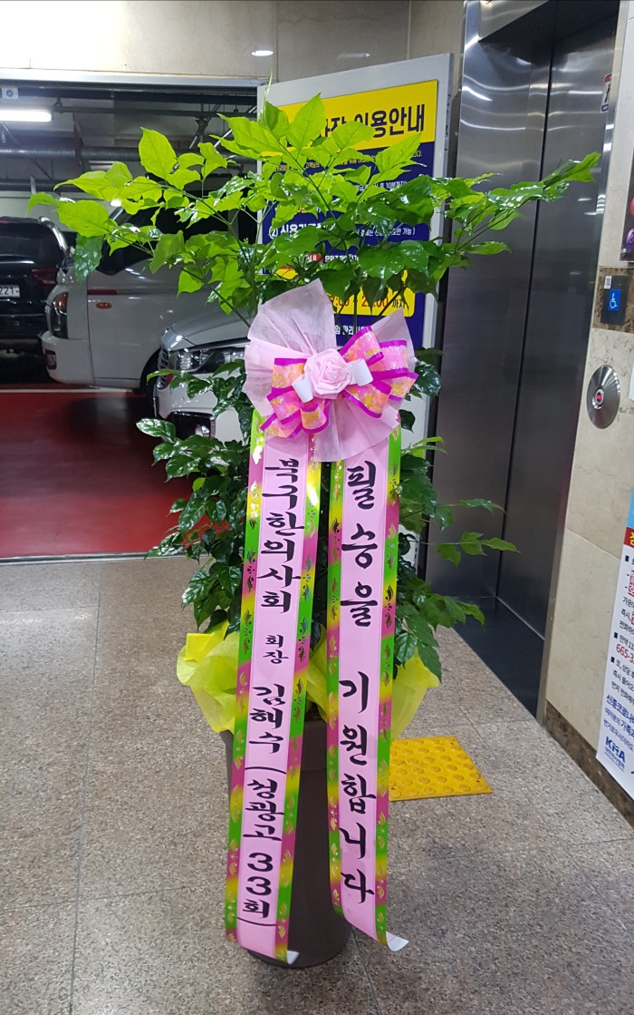 ϱǻȸ 뱸ɹ Դϴ 