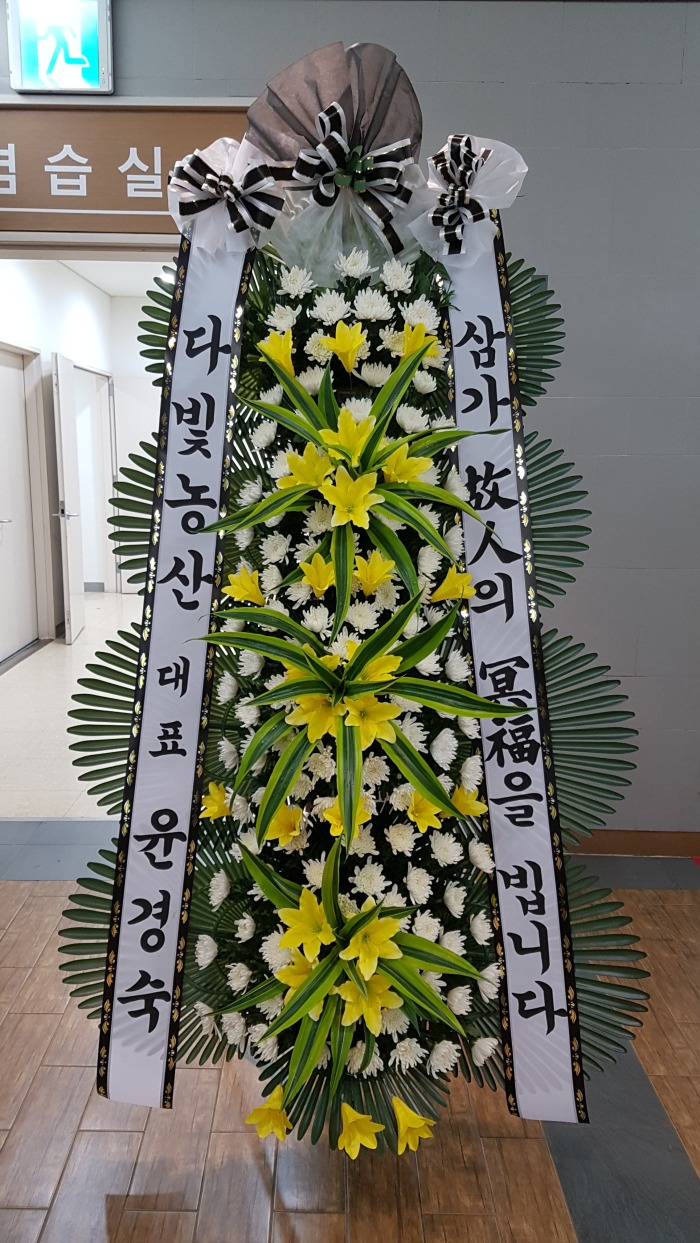 ٺ 뱸ɹ Դϴ 