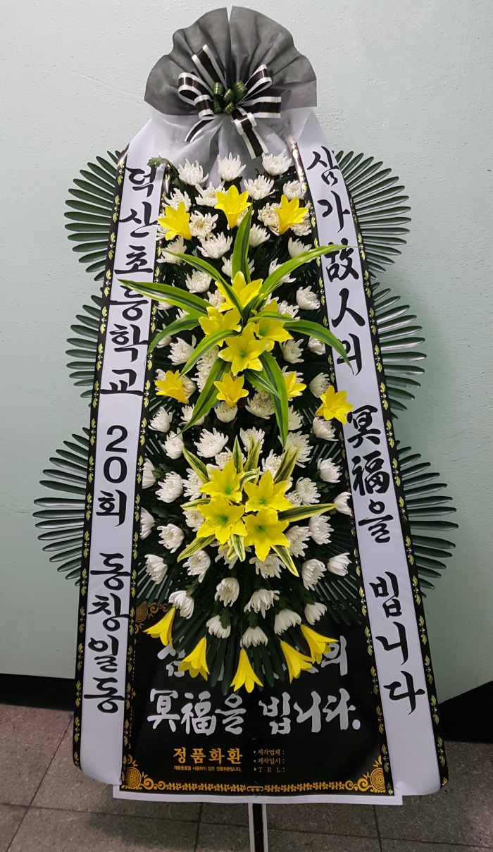  20ȸ 뱸ɹ Դϴ 