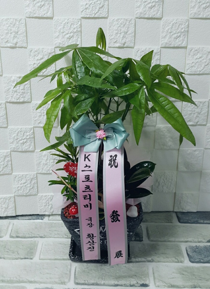 KƼ 뱸ɹ Դϴ 
