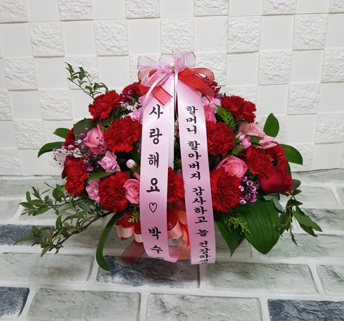 ڢ 뱸ɹ Դϴ 