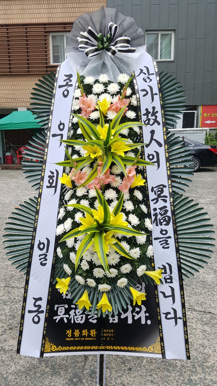 ȸ  뱸ɹ Դϴ 