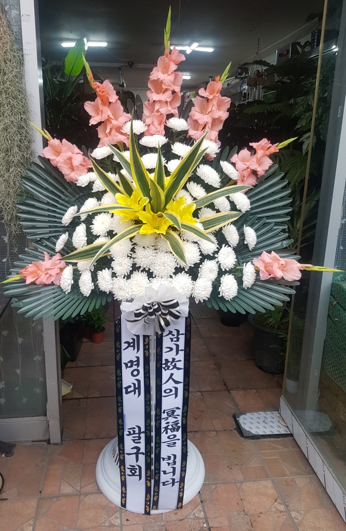  ȱȸ 뱸޼ɹ Դϴ 