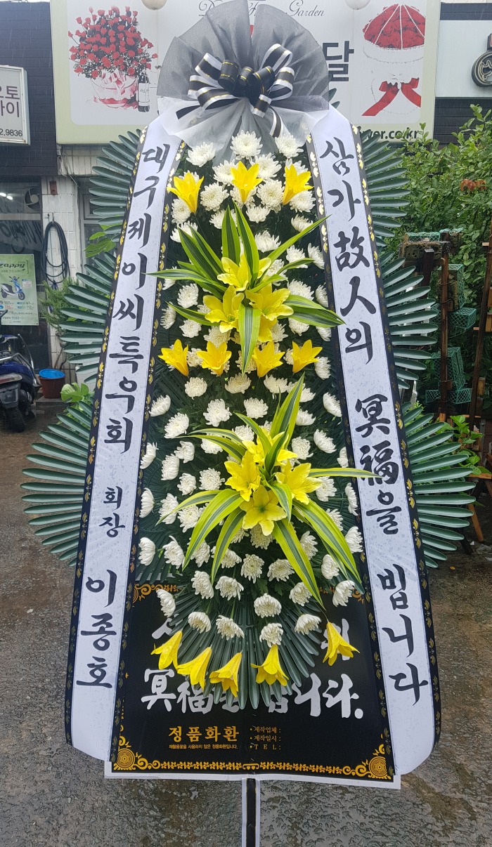 뱸̾Ưȸ  뱸ɹ Դϴ 