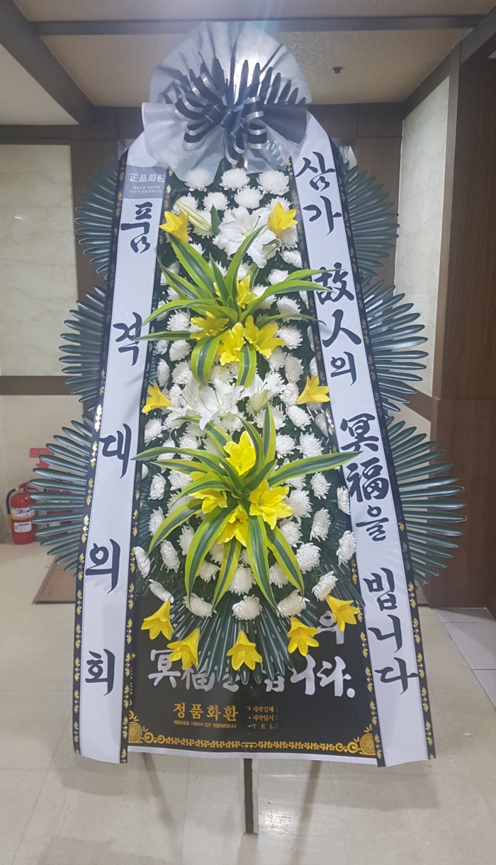 ǰݴȸ 뱸 Դϴ