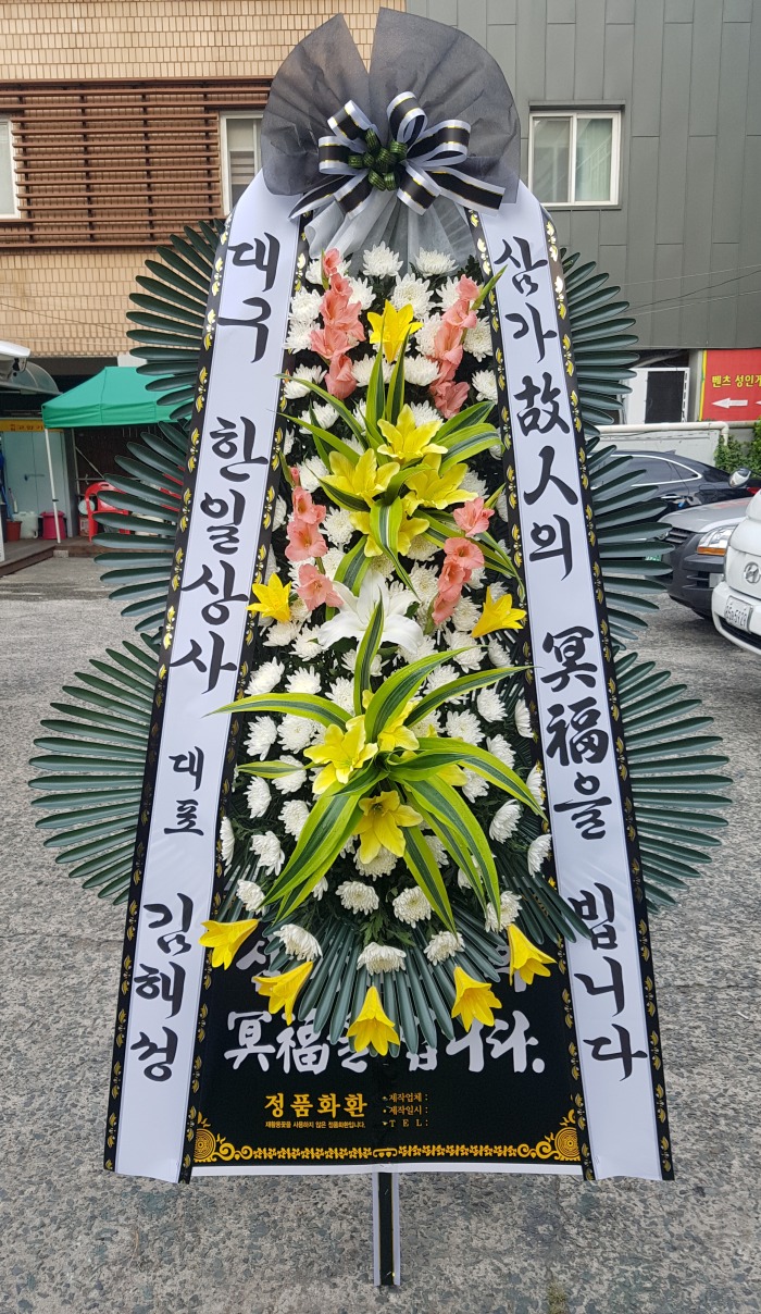 뱸ϻ ɲɹ Դϴ