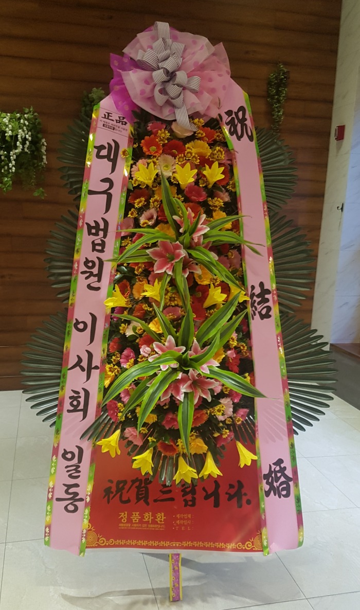 뱸 ̻ȸ 뱸 Դϴ
