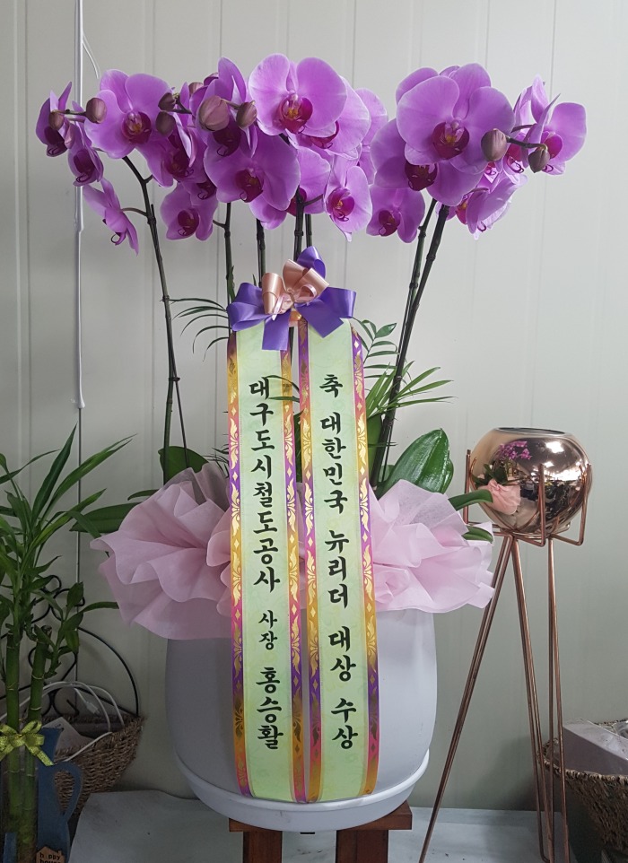 뱸ö 뱸ϱɹ Դϴ