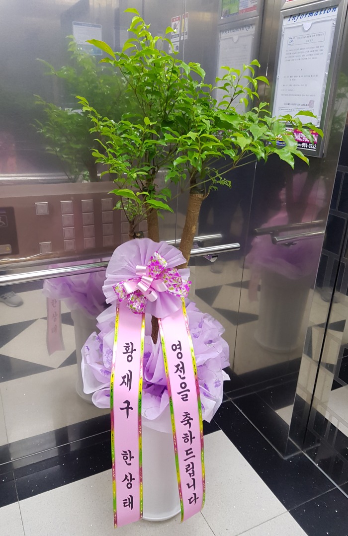 Ȳ  뱸ɹ Դϴ 
