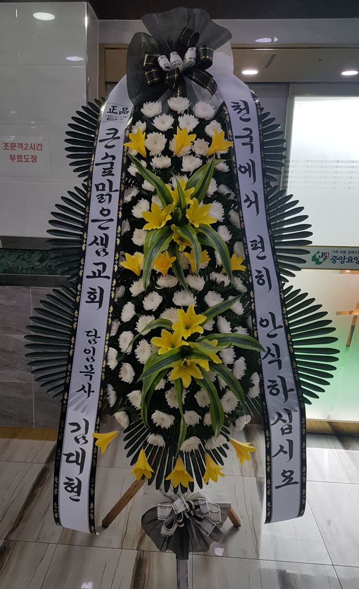 ūȸ 뱸ȭȯ Դϴ