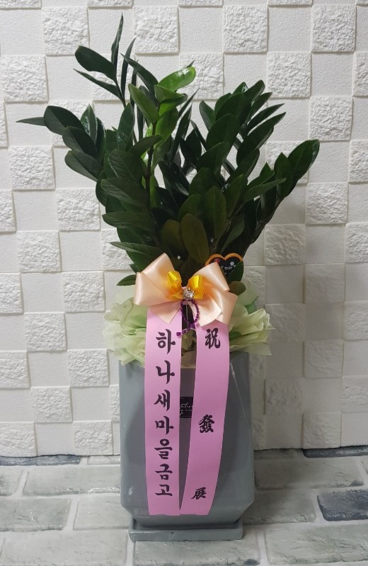 ϳݰ 뱸ɹ Դϴ 