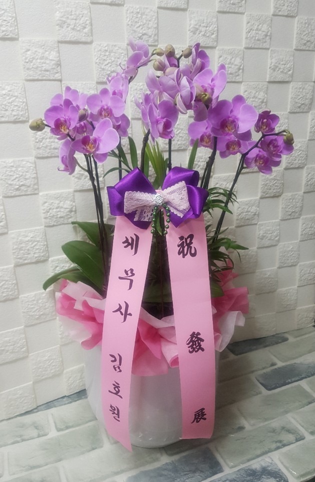 뱸ɹ Դϴ 