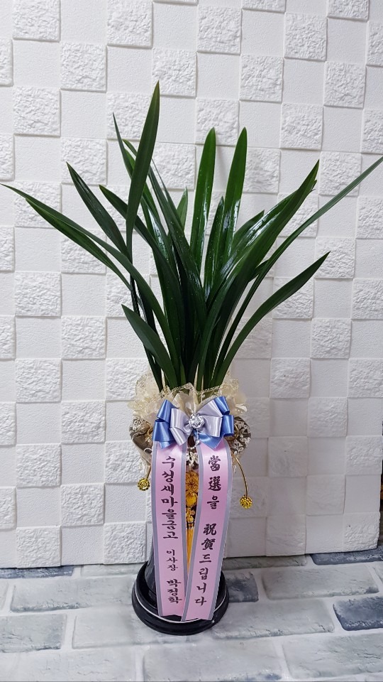 ݰ 뱸ɹ Դϴ 
