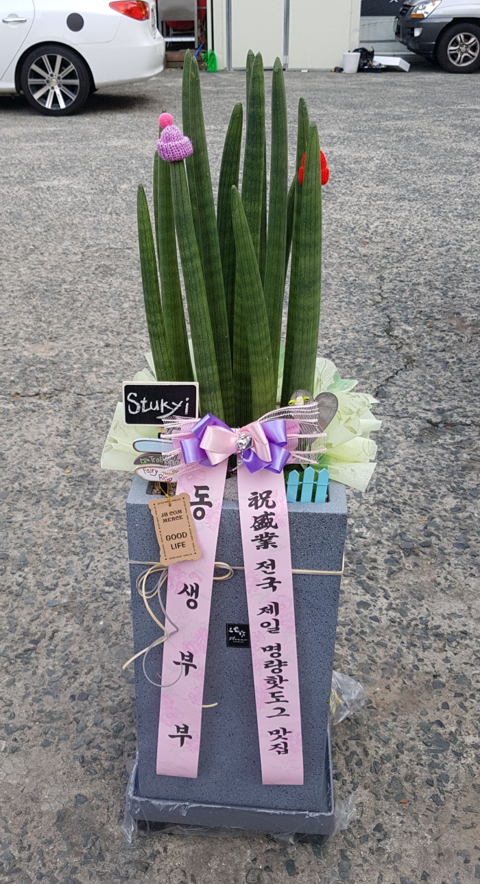 κδ 뱸ɹ Դϴ