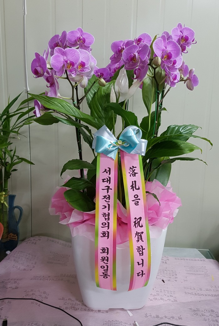 뱸ȸ 뱸ɹ Դϴ 