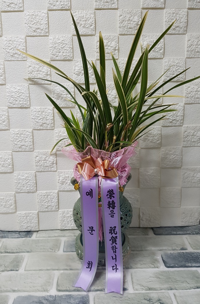 ȸ 뱸 Դϴ 