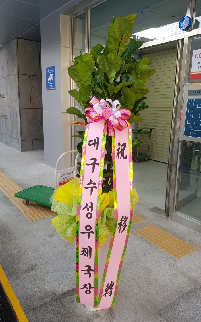 뱸ü  뱸ɹ Դϴ 