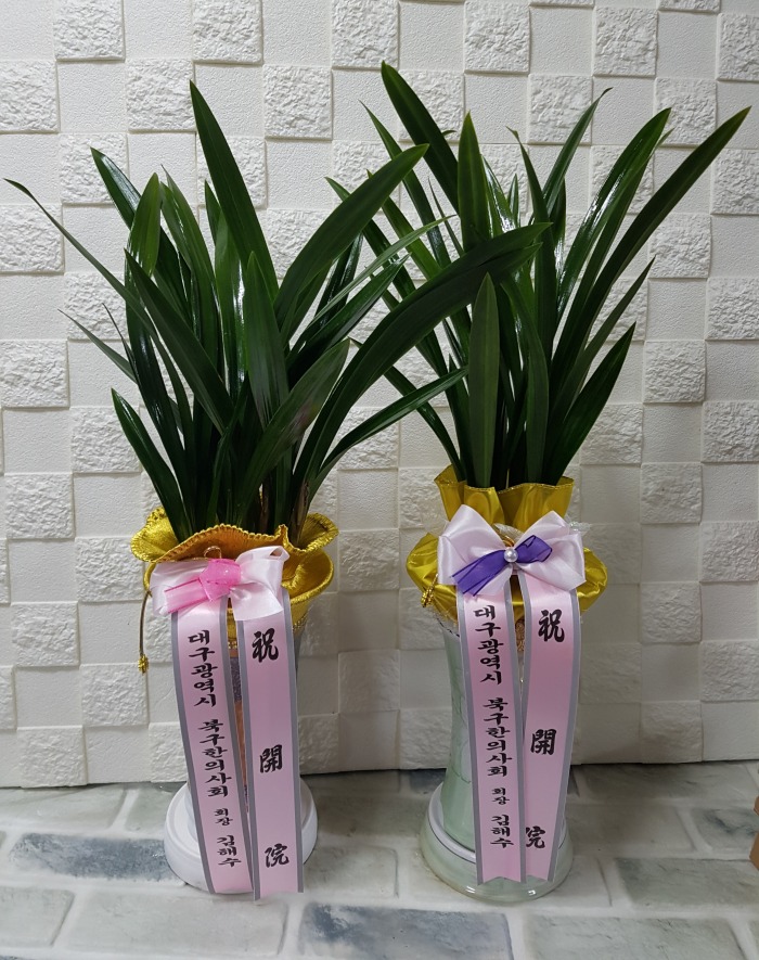 뱸 ϱǻȸ 뱸ɹ Դϴ 
