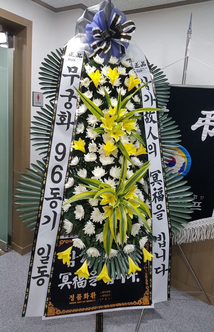 ȭ96 뱸ɹ Դϴ 