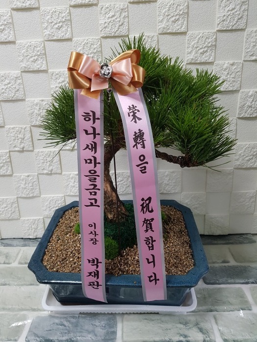 ϳݰ 뱸ɹ Դϴ 