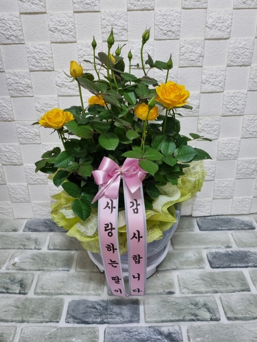 @ 뱸ɹ Դϴ