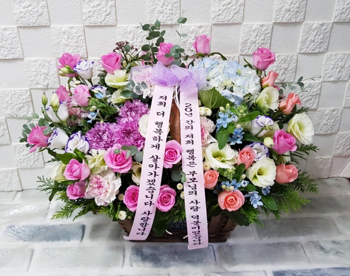 뢽 뱸 Դϴ