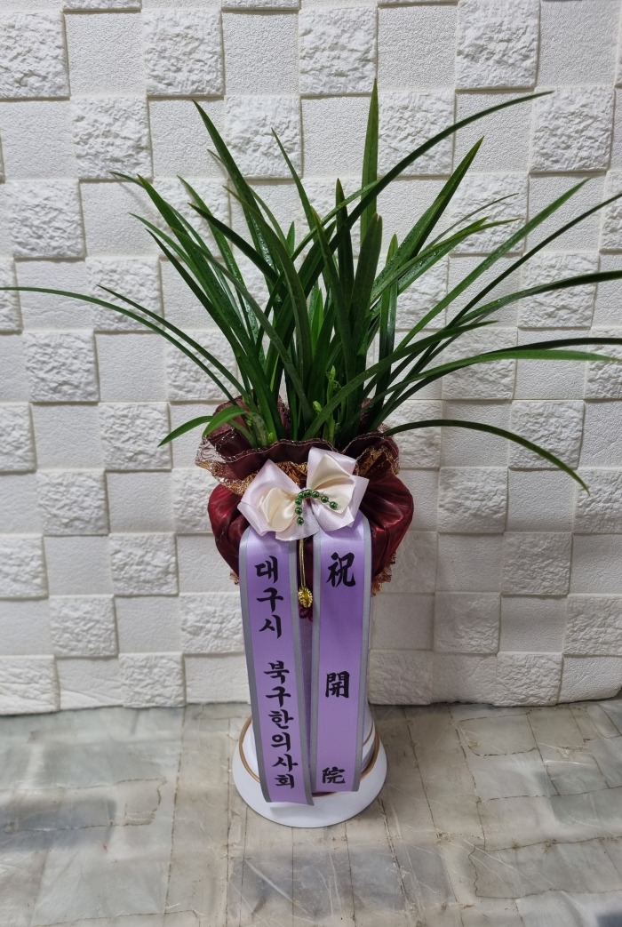 뱸ô 뱸ϱɹ Դϴ