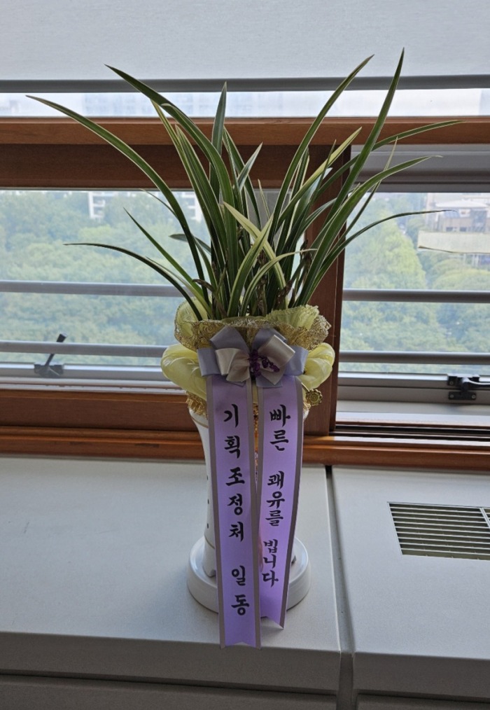 ȹó 뱸ɹ Դϴ