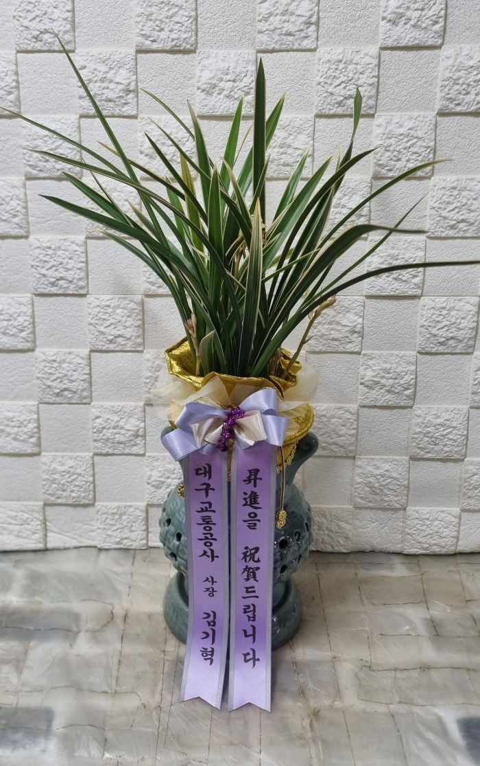 DTRO 뱸ɹ Դϴ