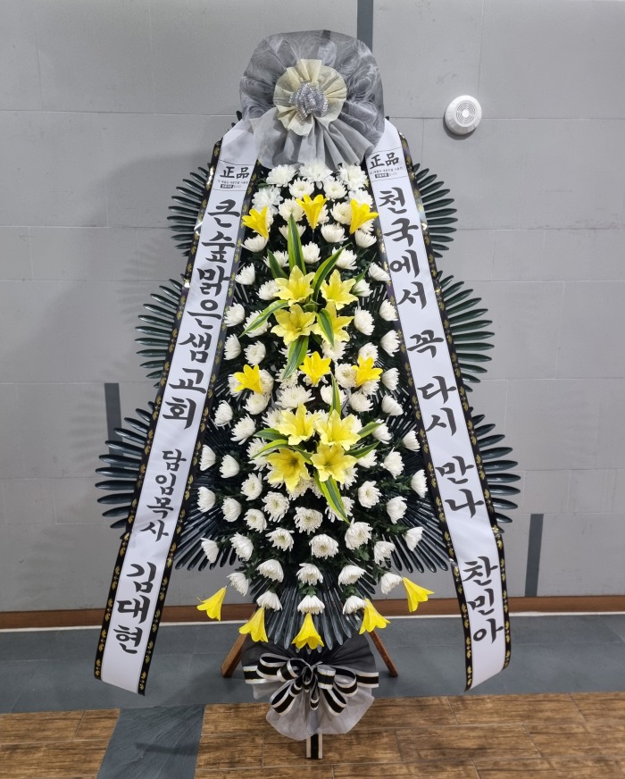 ūȸ 뱸ϱɹ Դϴ