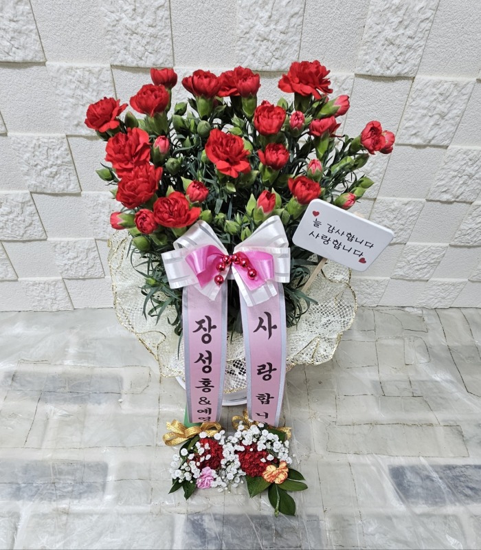 #ȫ 뱸ɹ Դϴ